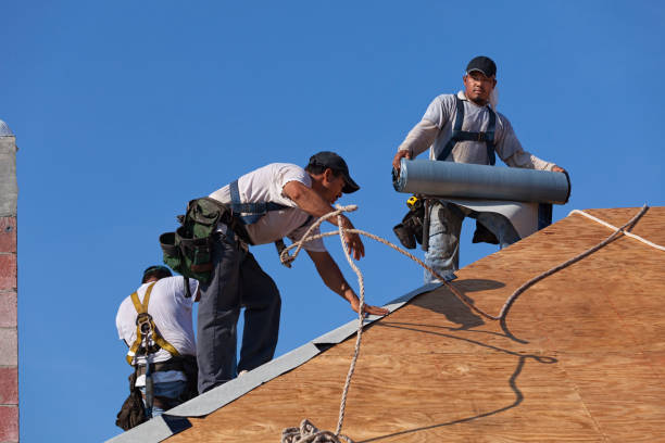 Best Metal Roofing Contractor  in Shelbyville, IN